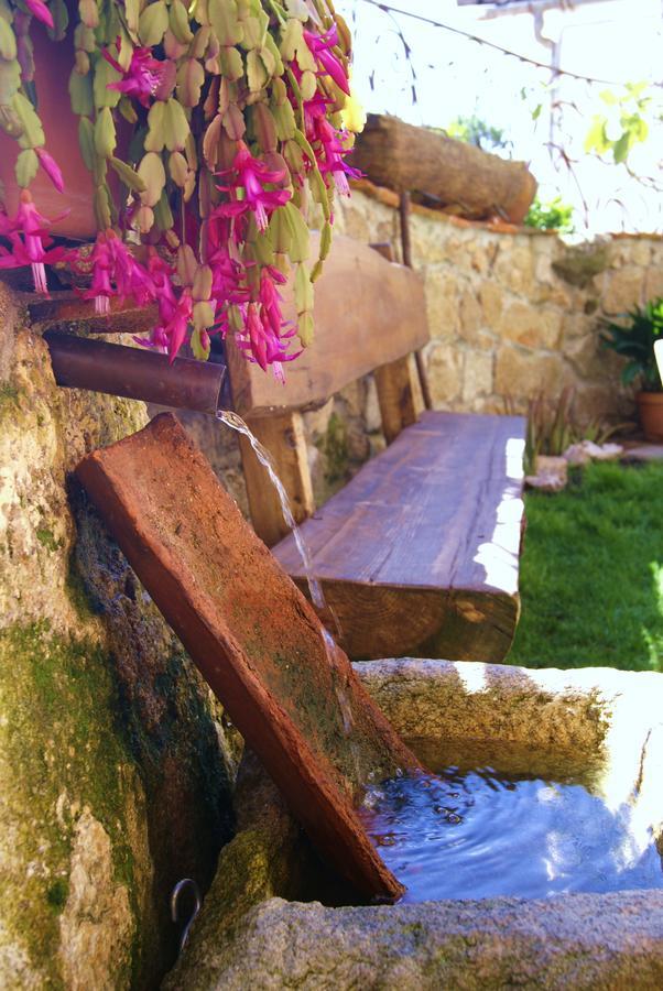 Posada La Gatera Pedro Bernardo Exteriör bild