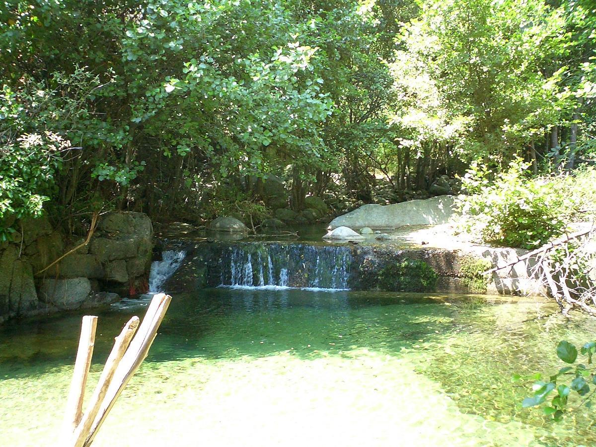 Posada La Gatera Pedro Bernardo Exteriör bild